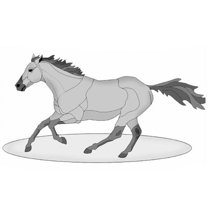 Trotting Horse