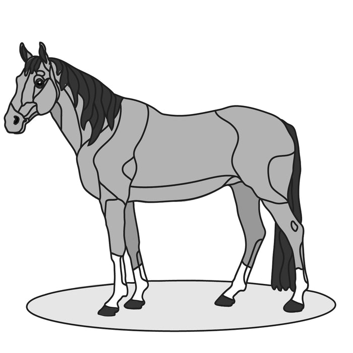 Quarter Horse Standing
