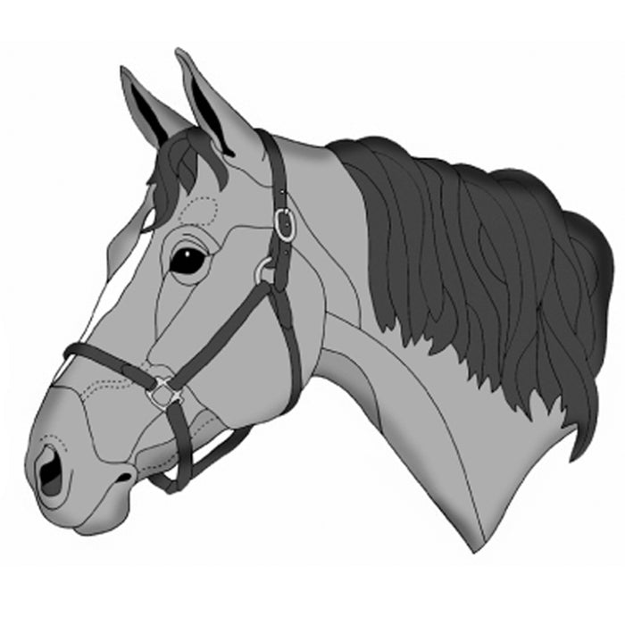 Quarter Horse Head