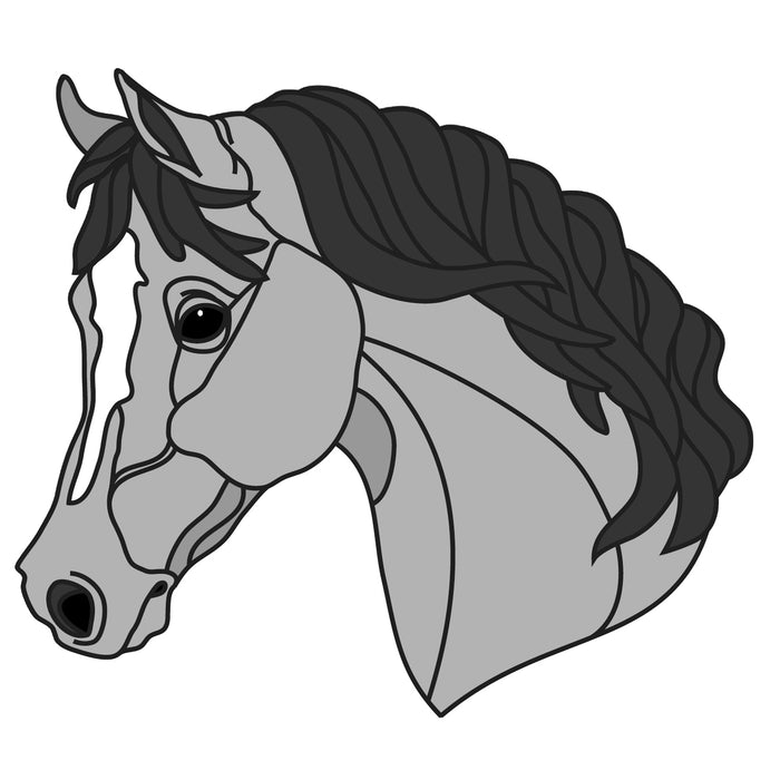 Bay Arab Horse Head