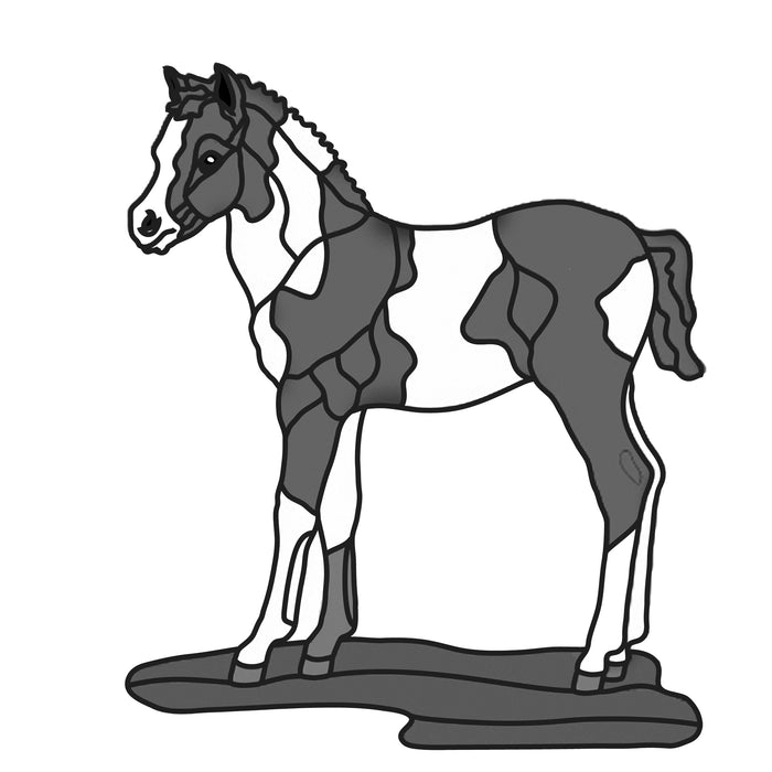 Standing Paint Colt