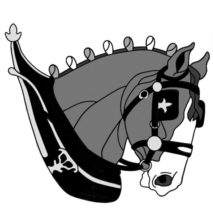 Clydesdale Horse Head