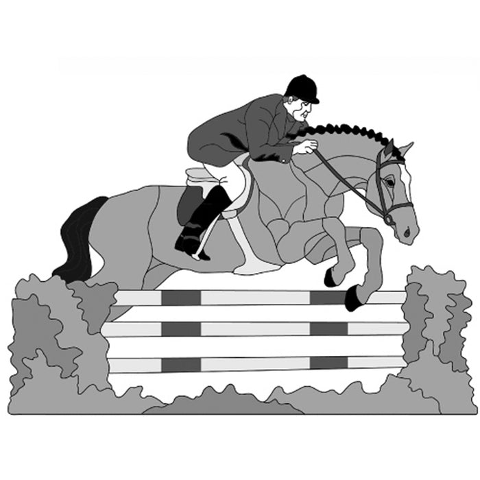 Jumper Horse and Rider