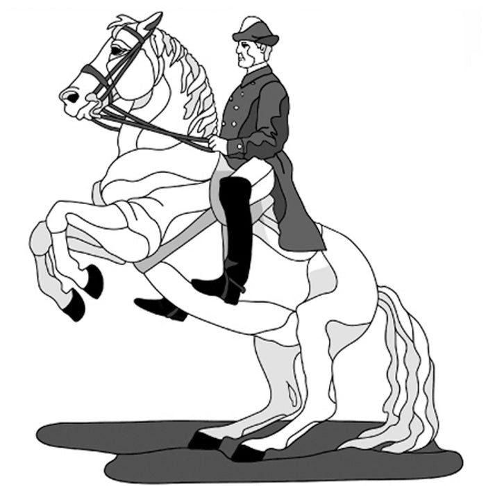 Lipizzaner Horse and Rider