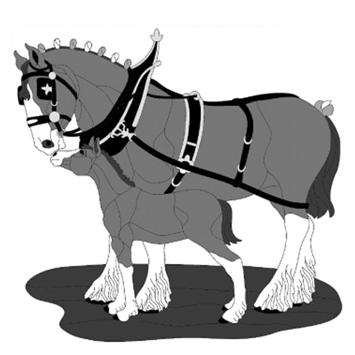 Clydesdale Horse & Colt