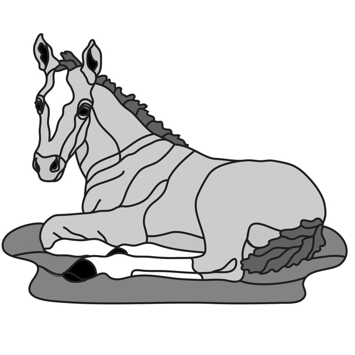 Lying Colt
