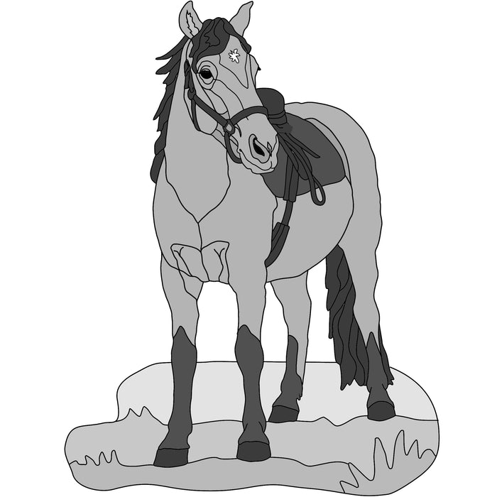 Saddle Horse Standing