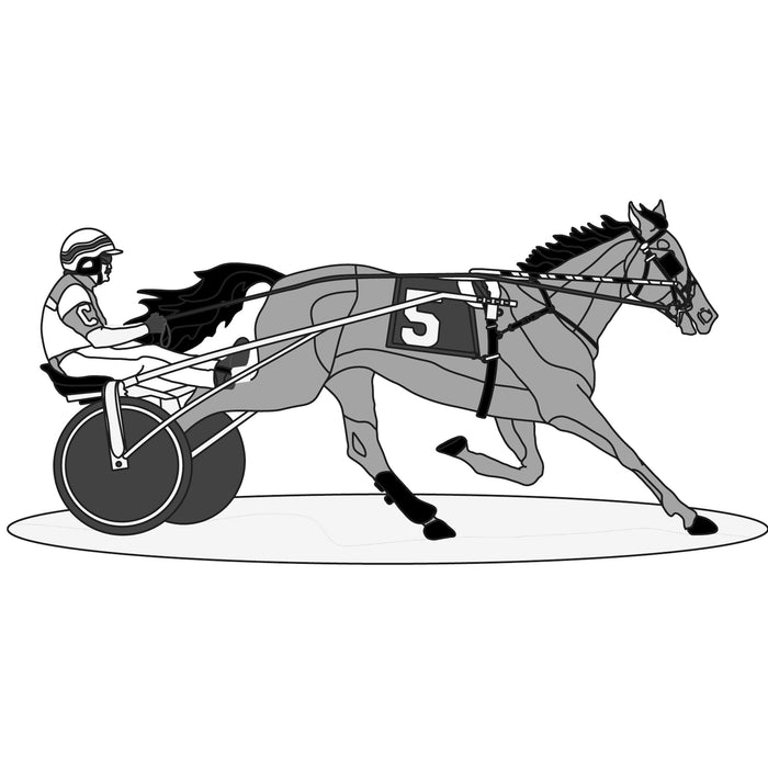 Harness Racer Horse & Rider