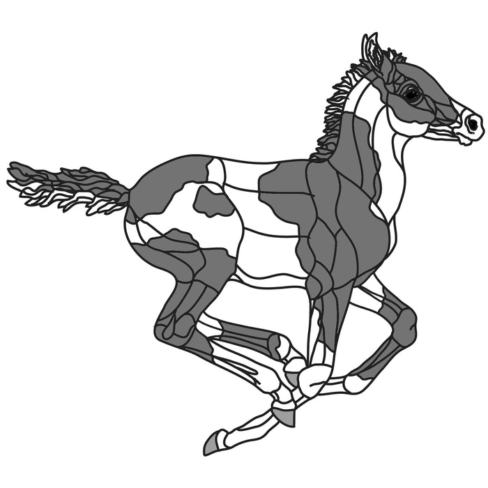 Running Paint Colt Oversized