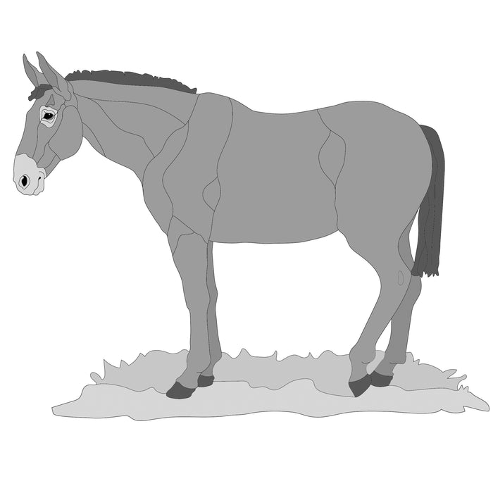 Standing Mule