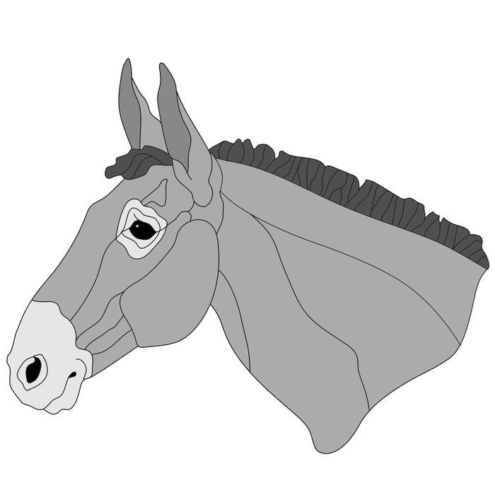 Mule Head