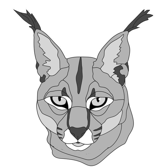 Caracal Head