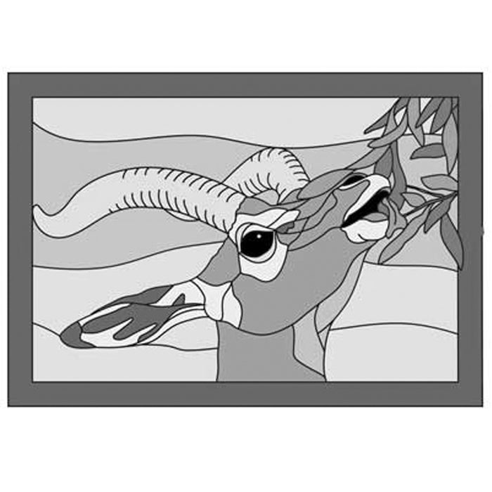 Gerenuk Head