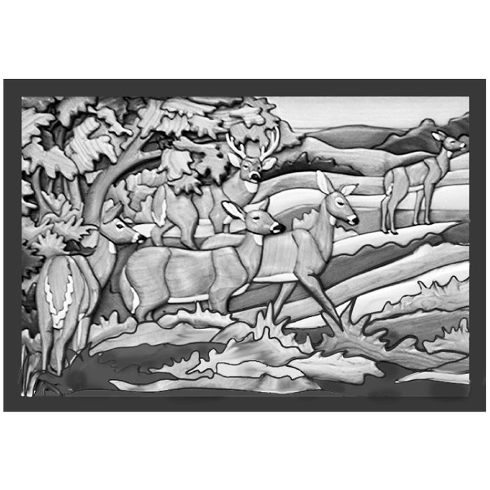 Whitetail Deer Woods