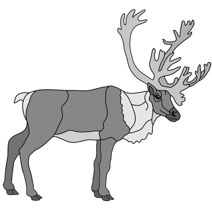 Standing Caribou