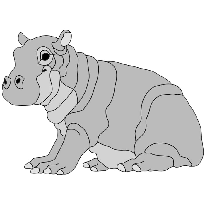 Hippo Baby