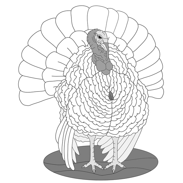Farm Turkey