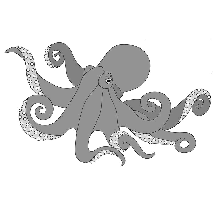 Octopus