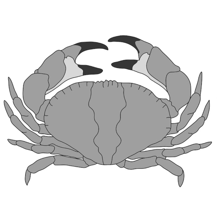 Crab