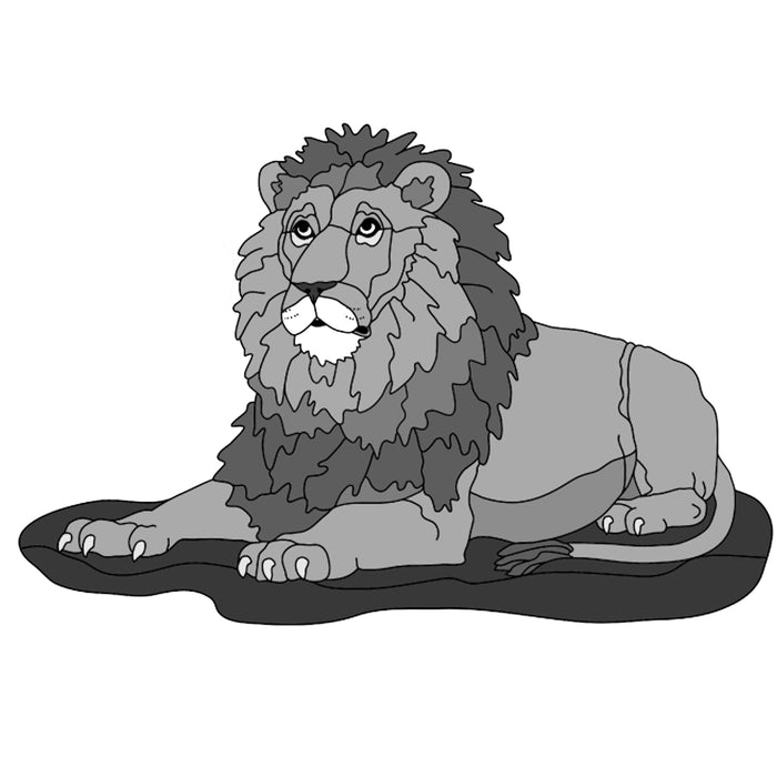 Lion Lying