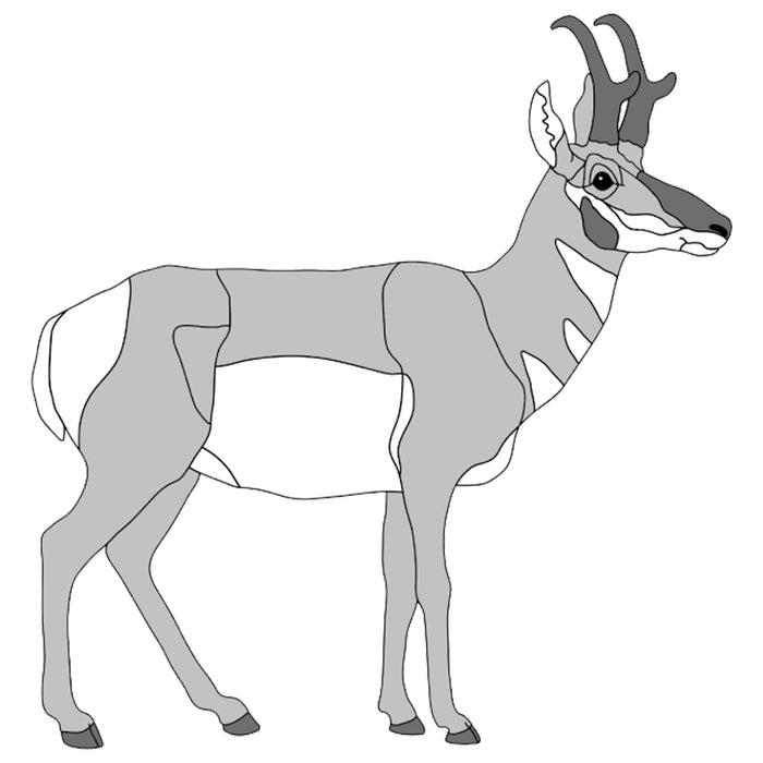 Pronghorn Standing