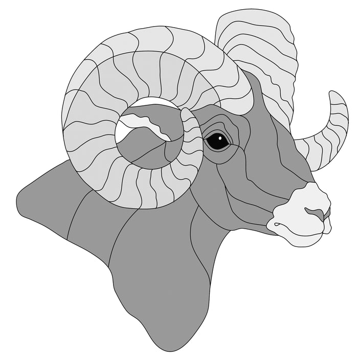 Bighorn Ram Head #2