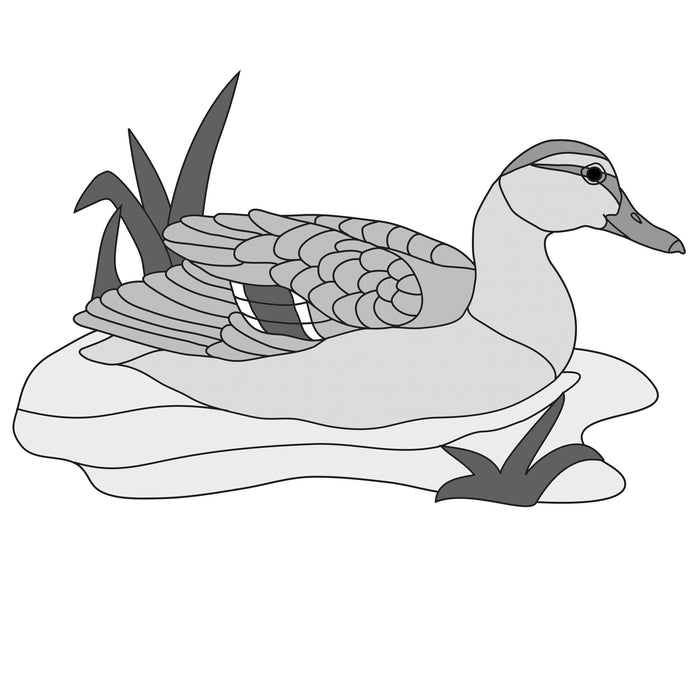 Mallard Hen