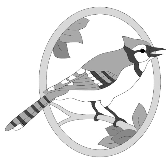 Blue Jay