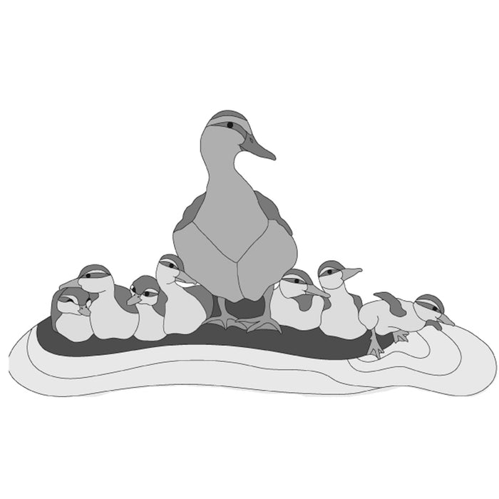 Mallard Duck Family