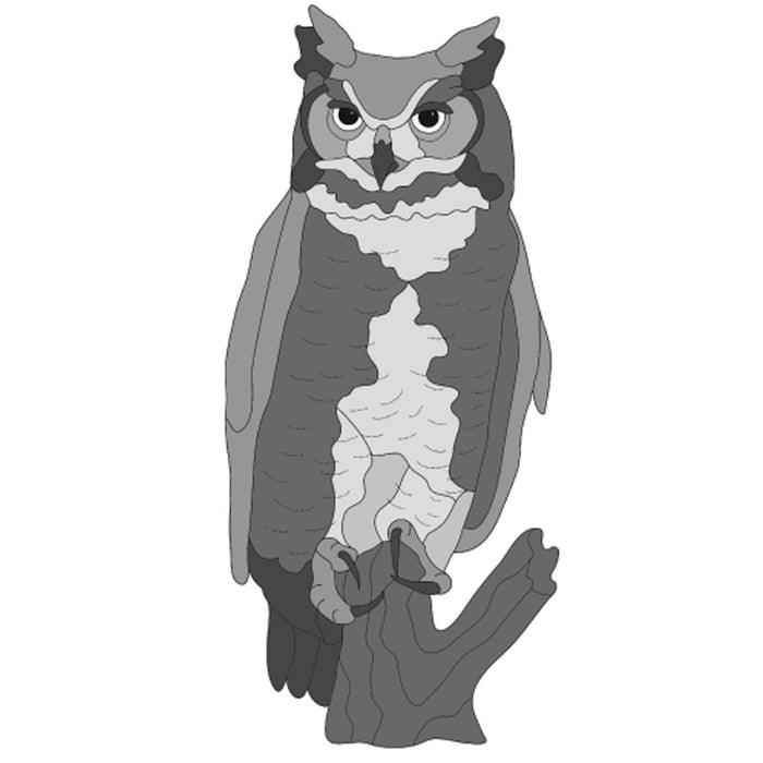 Great Horned Owl
