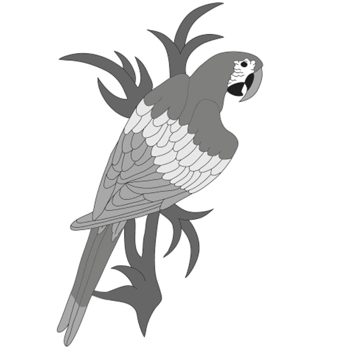 Macaw Parrot