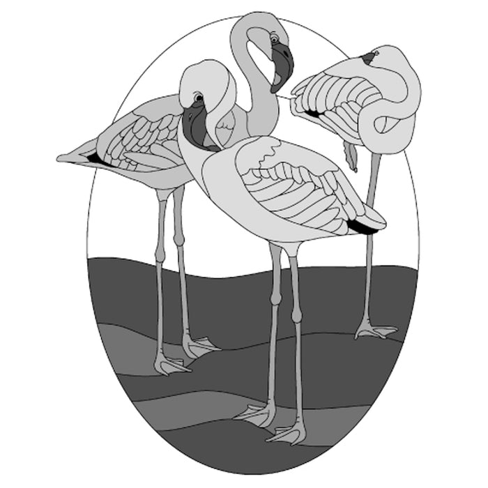 Flamingos