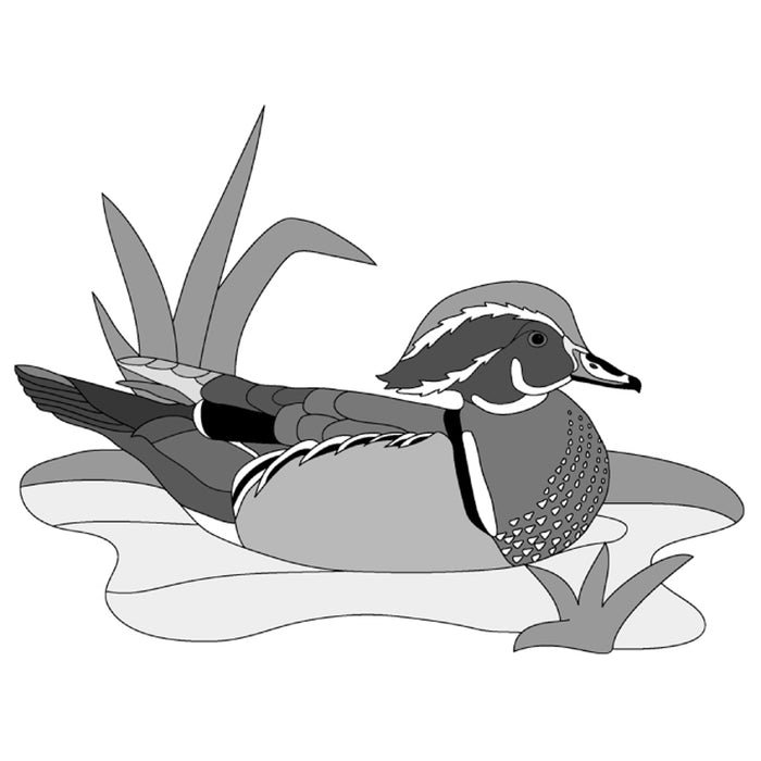 Wood Duck