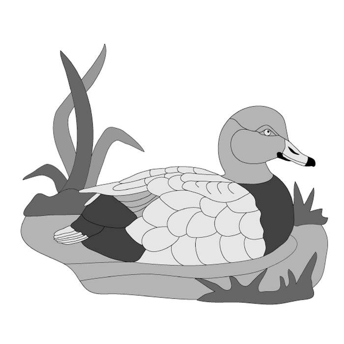 Redhead Duck