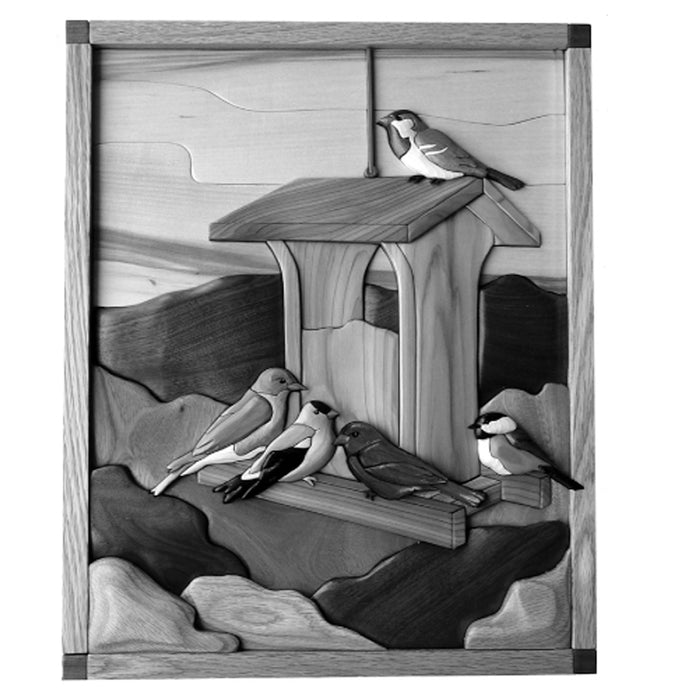 Song Bird Feeder