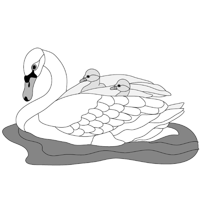 Swan & Baby