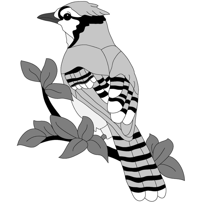 Blue Jay 2