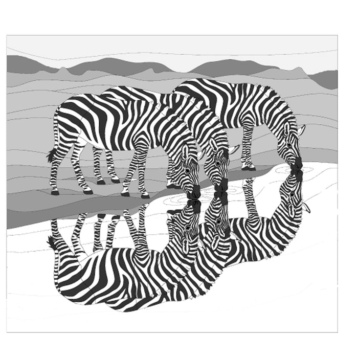 African Plains Zebra