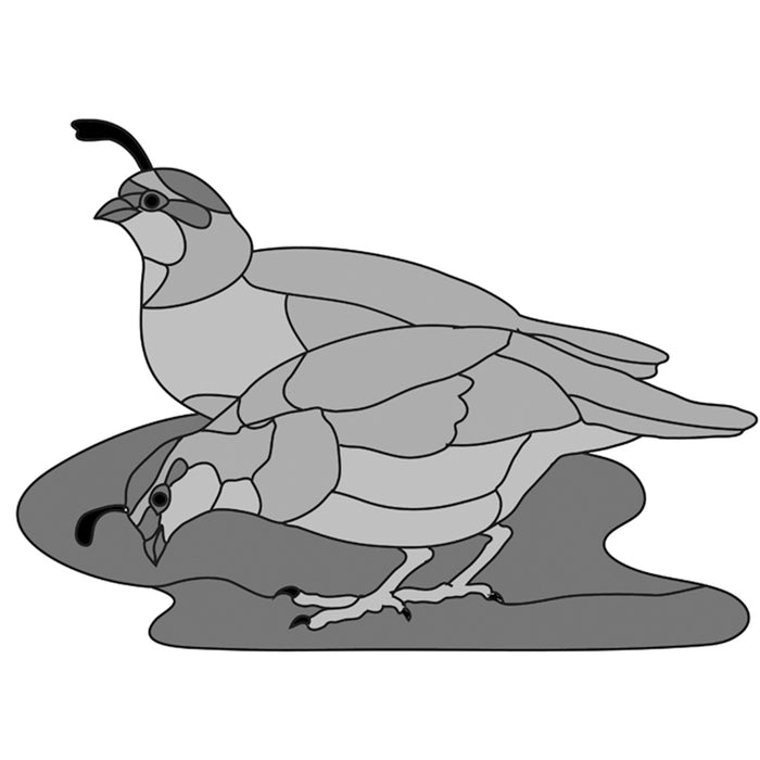 Quail Female Covey