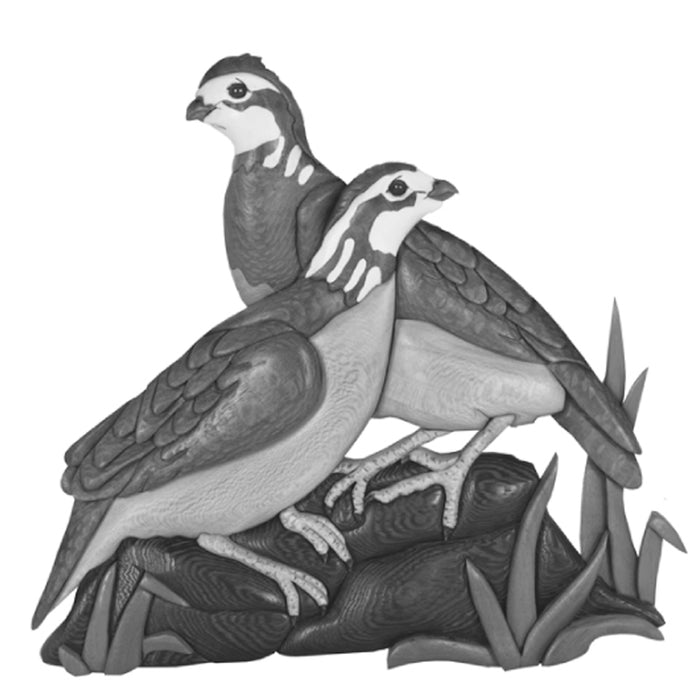 Bobwhite Pair