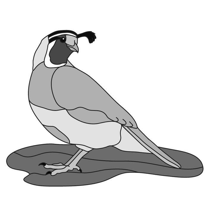 Quail