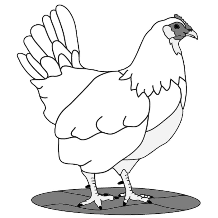 Hen