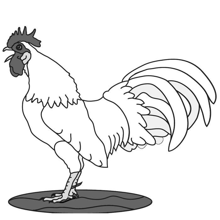 Rooster Crowing