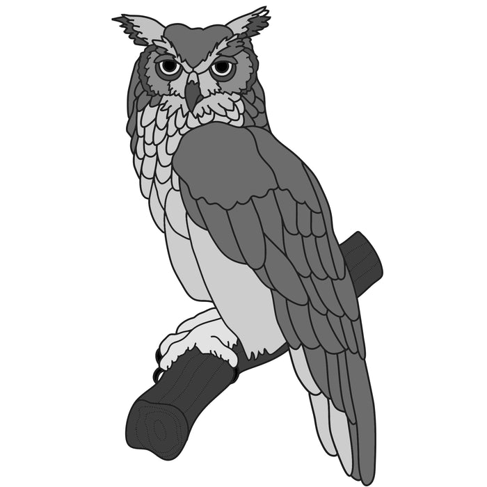 Great Horned Owl #2
