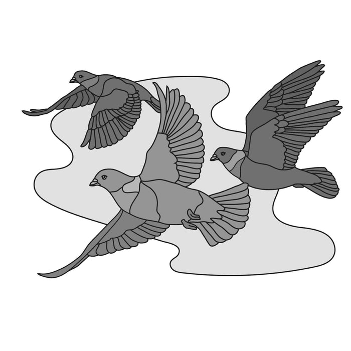Racing Pigeons