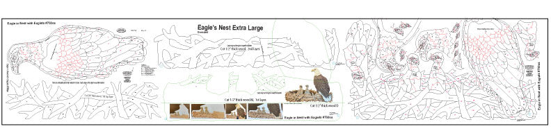 Eagle & Eaglets in Nest Piece Pattern