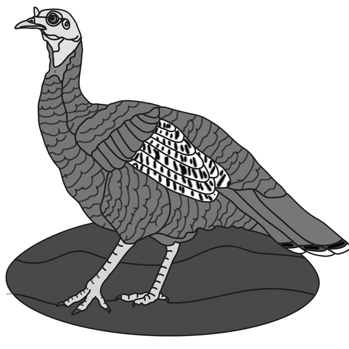 Hen Turkey