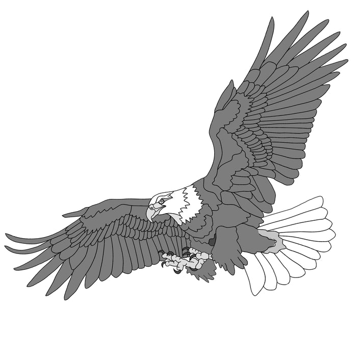Eagle Flying Oversized