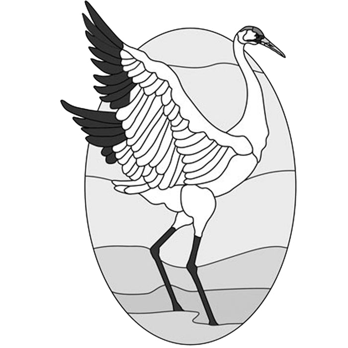 Whooping Crane