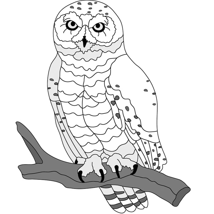 Sitting Snowy Owl